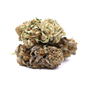 Gummy Bears – ($.$)