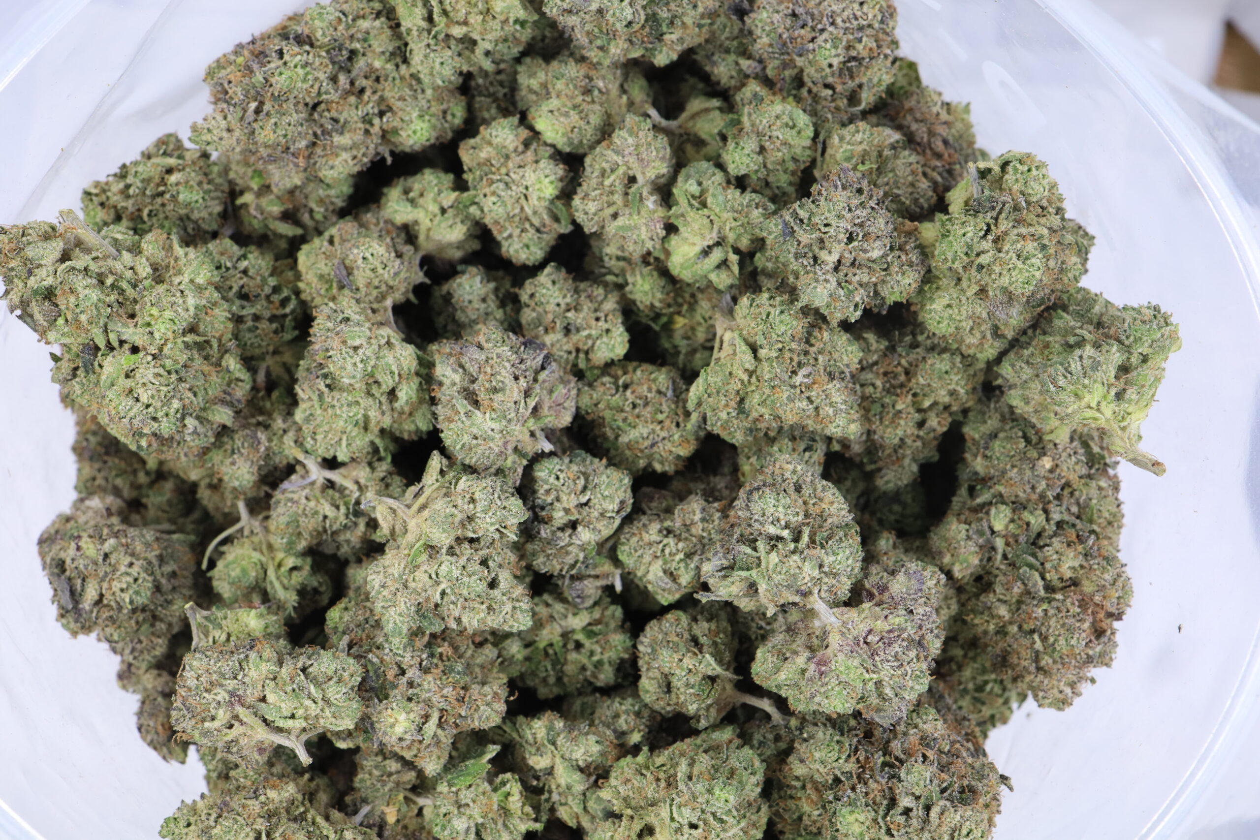 El Chapo OG - ($.$.$) - Image 2