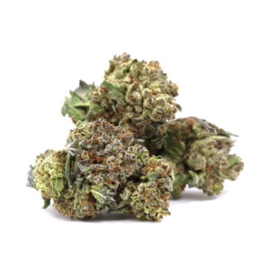 Glue Breath – ($.$)