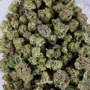 Glue Breath – ($.$)