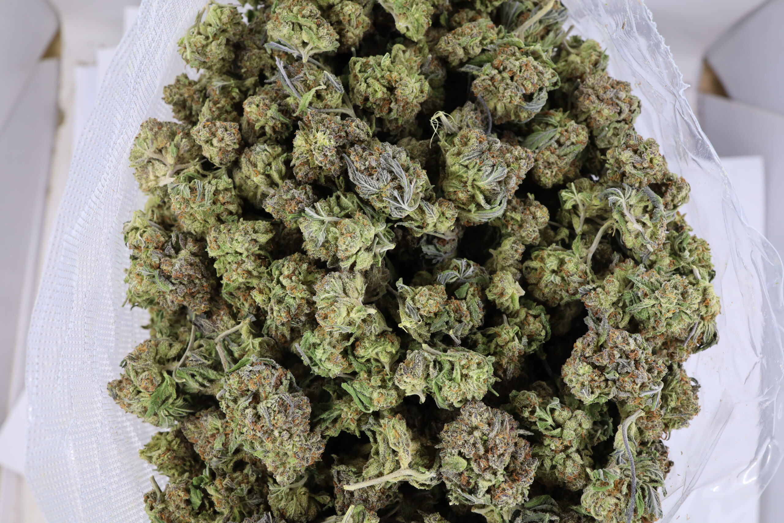 Glue Breath - ($.$) - Image 2